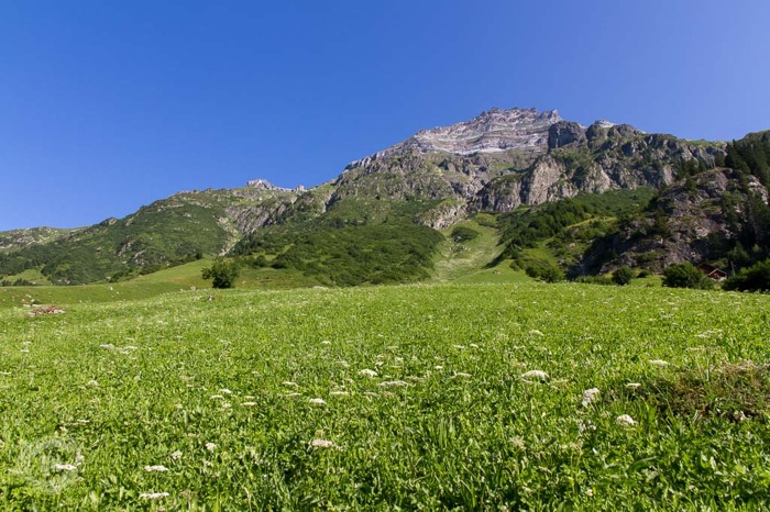 20130727_Golzern_004