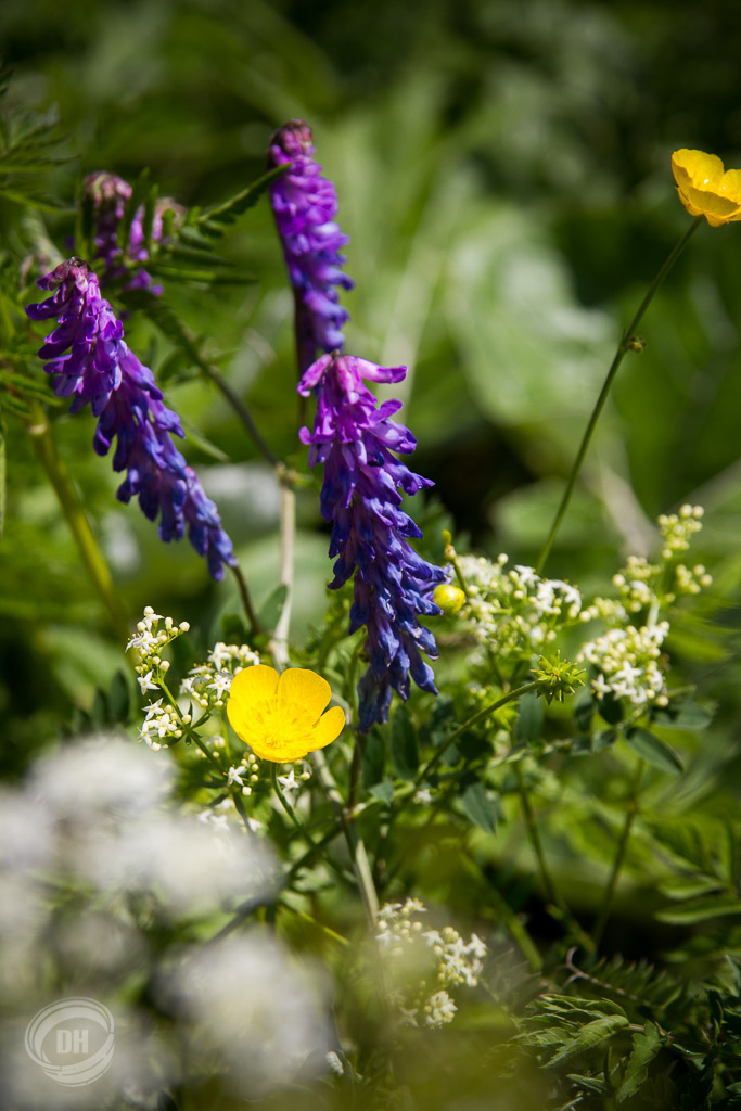 20130727_Golzern_067