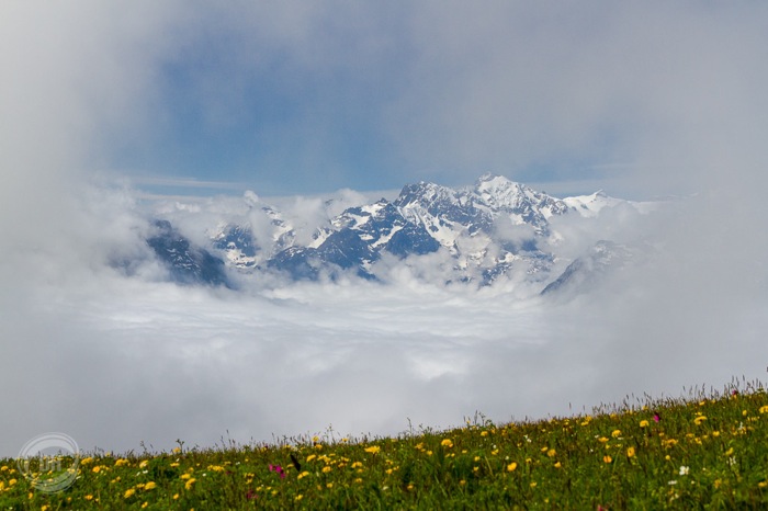 20140531_Schaechentaler_Hoehenweg_002