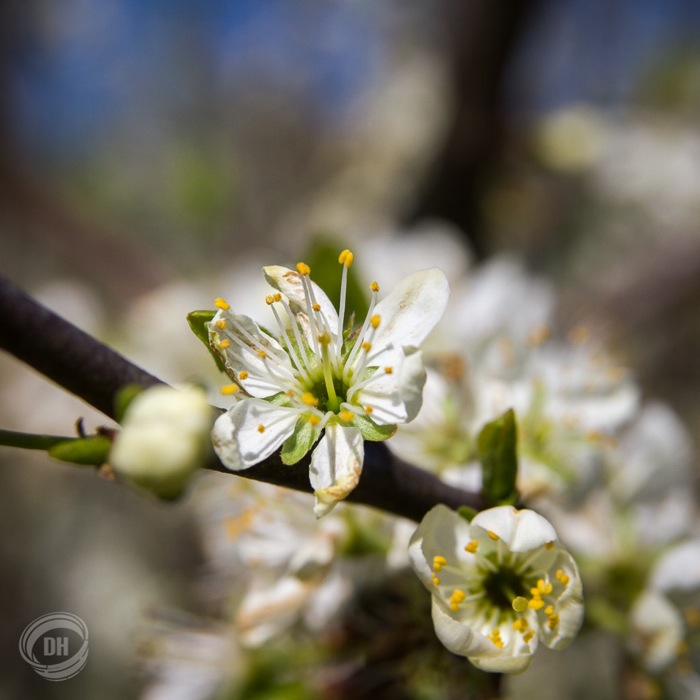 20150419_Zug_018