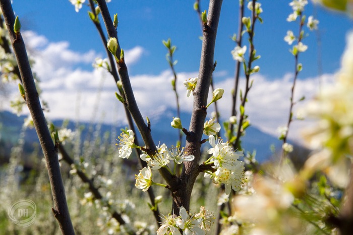 20150419_Zug_030