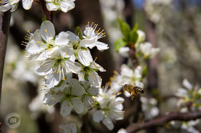 20150419_Zug_037