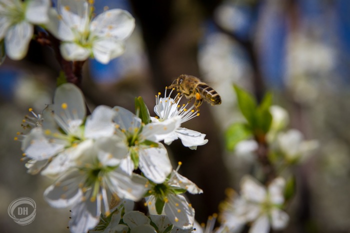 20150419_Zug_048