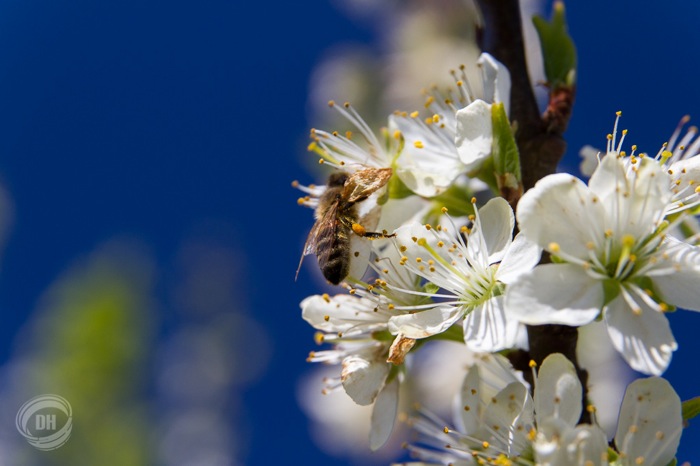 20150419_Zug_056