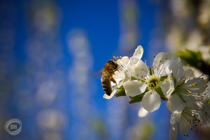 20150419_Zug_063