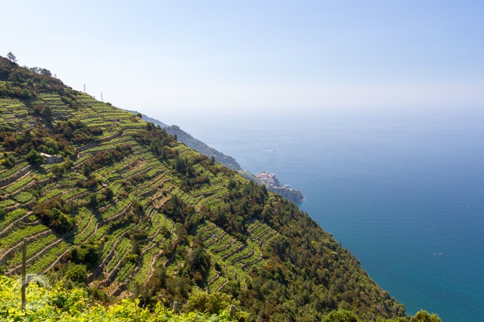 20150604_Cinque_Terre_081