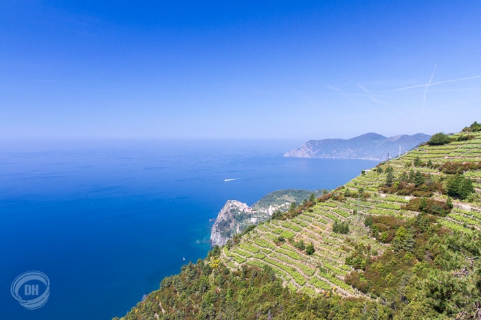 20150604_Cinque_Terre_084